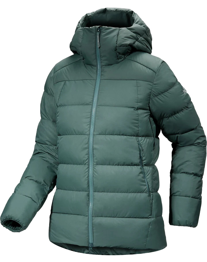 Arcteryx thorium sale ar hoody womens