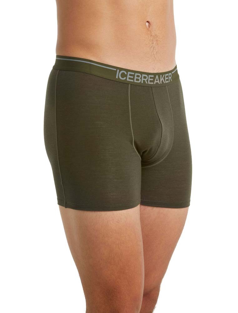 review: Icebreaker Anatomica boxers - 2 years in!