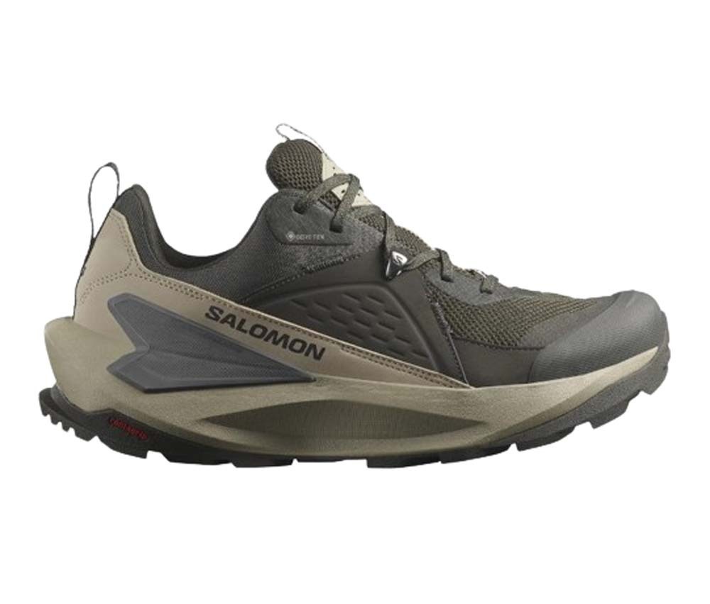 Salomon gtx low online