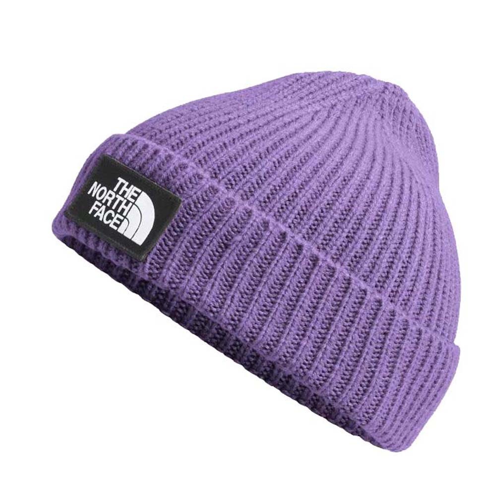 the north face purple beanie