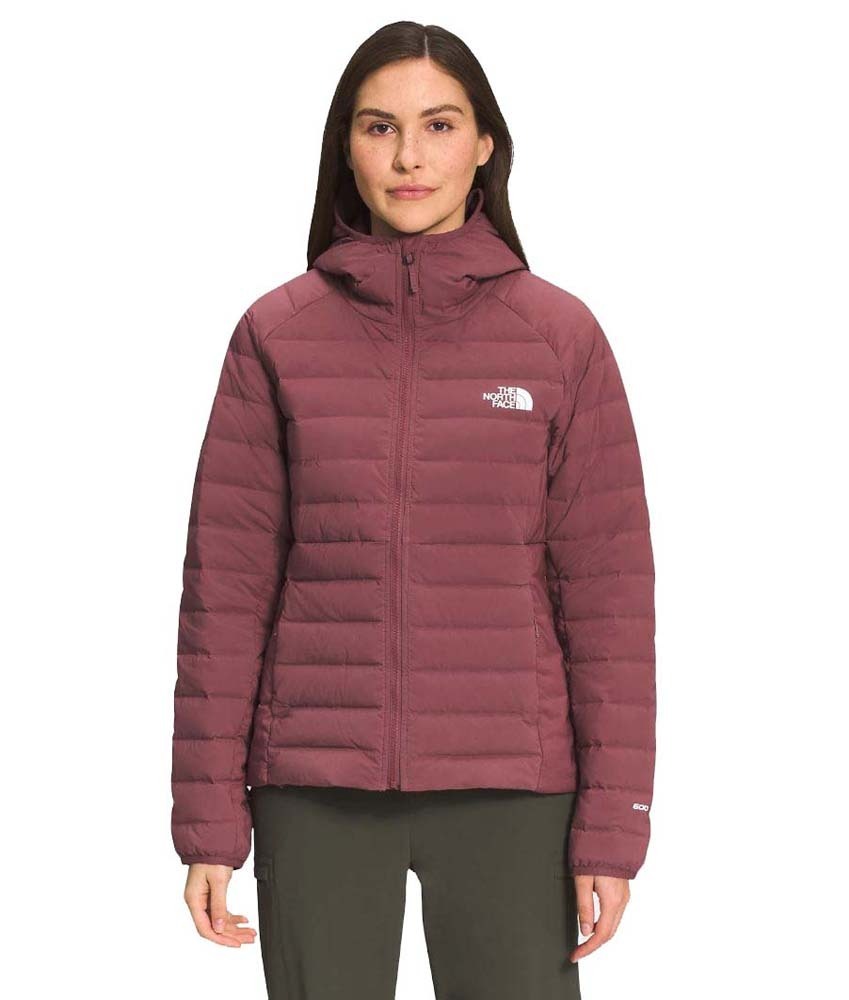 North face 2024 hoodie xs