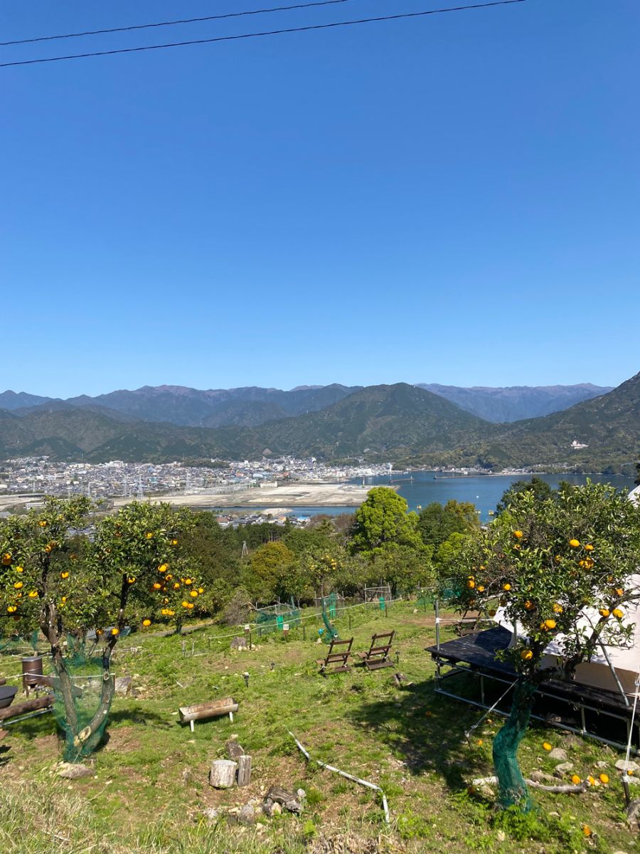 Campsite on a mountainside amongst mandarin trees with a view of the ocean and mountains