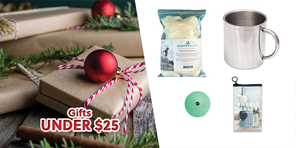 Stocking Stuffers under $25