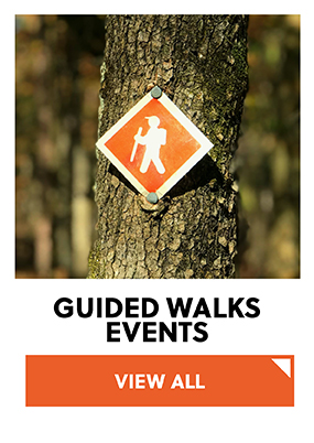 Walking Events