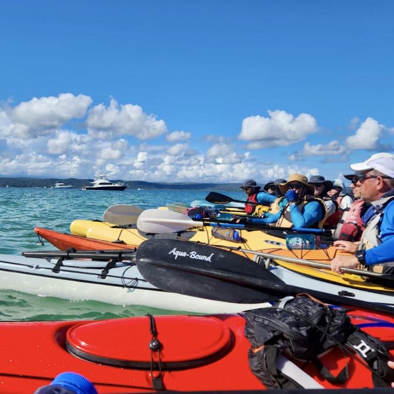 Kayaks lined up together on the clear ocean water