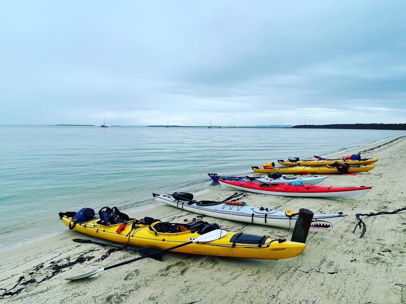 Kayaks lined up on the beach