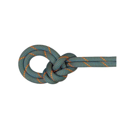 Mammut 9.9 Crag Workhorse Dry Rope - Boa/Ocean - 60m