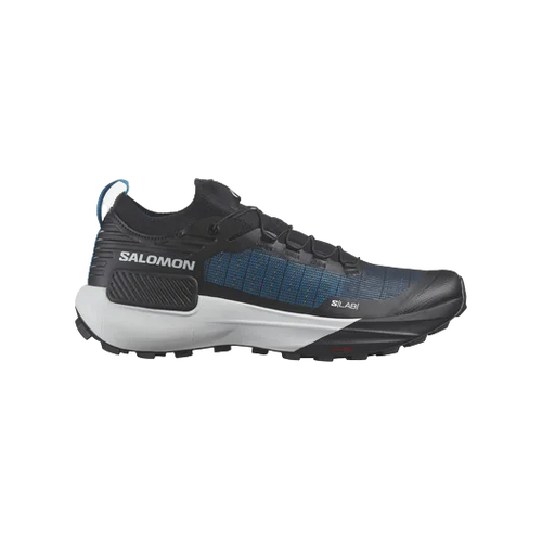 S lab running shoes online