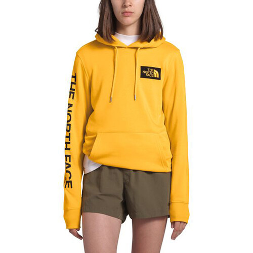 the north face hoodie xs