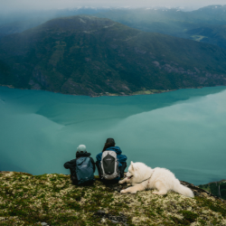 Best Day Packs of 2025 Best Day Packs of 2025